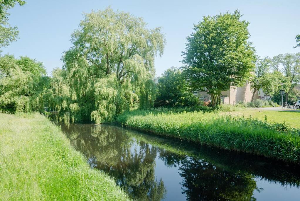 Cityhouse Alkmaar Eksteriør billede